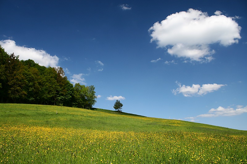 Landschaft