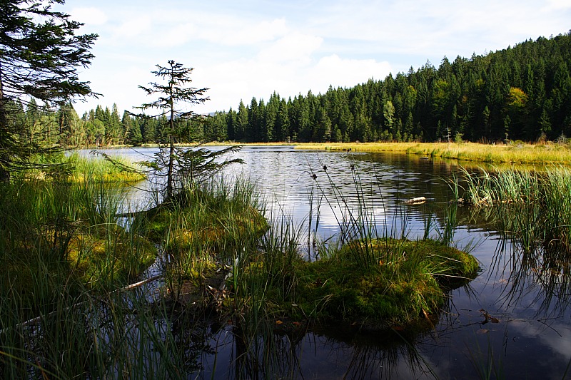 Kleiner Arbersee