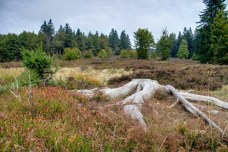 Lindbergschachten