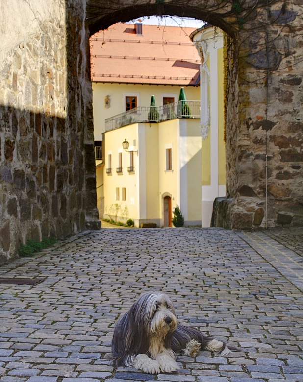 Schloss Frsteneck