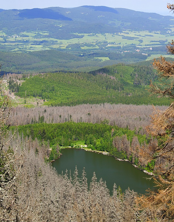 Plöckensteinsee