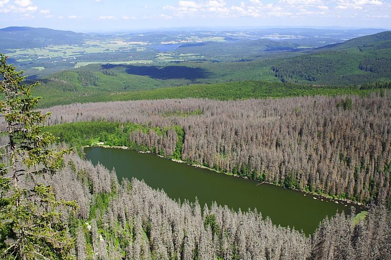 Plckensteinsee