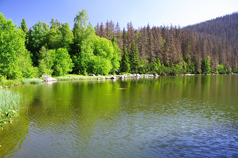 Plckensteinsee