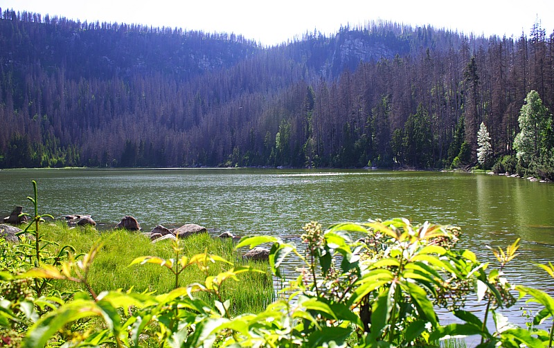 Plckensteinsee