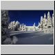 Winterstimmung