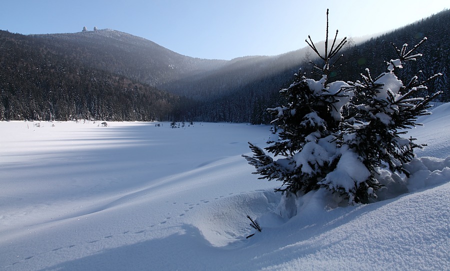 Kleiner Arbersee