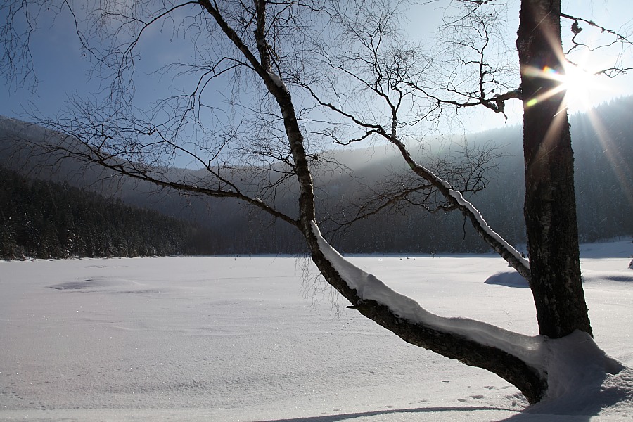 Kleiner Arbersee