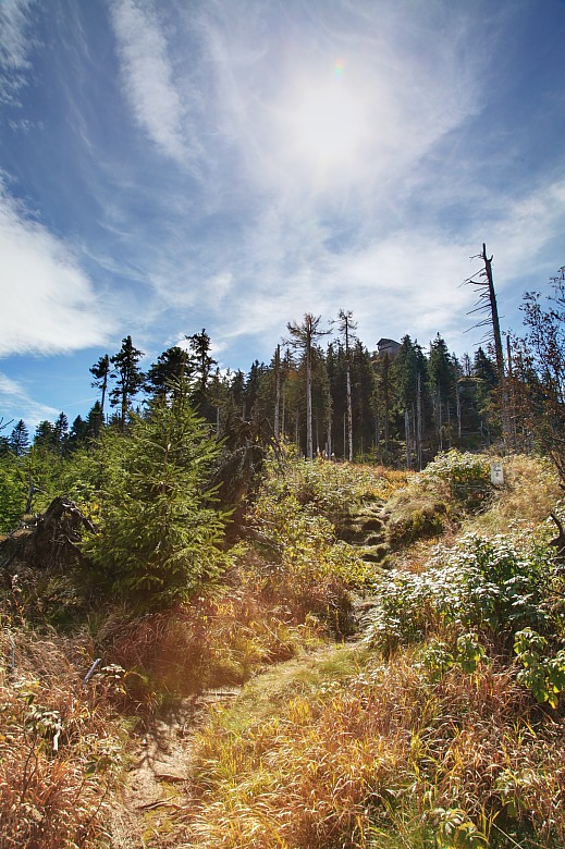 Osser Grenzsteig