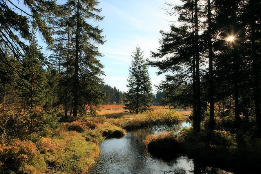 Arbersee