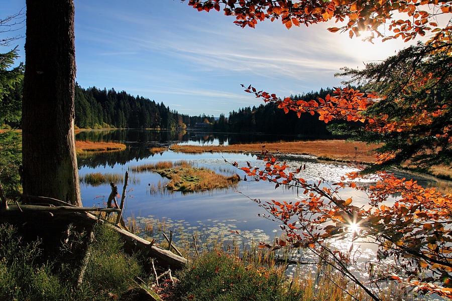 Grosser Arbersee