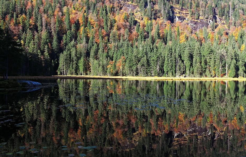 Grosser Arbersee