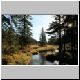 Groer Arbersee