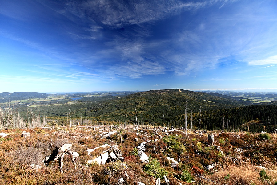 Aussicht Plckenstein