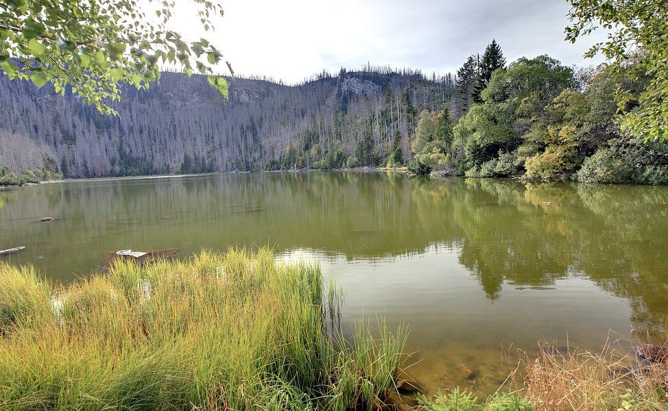 Plckensteinsee