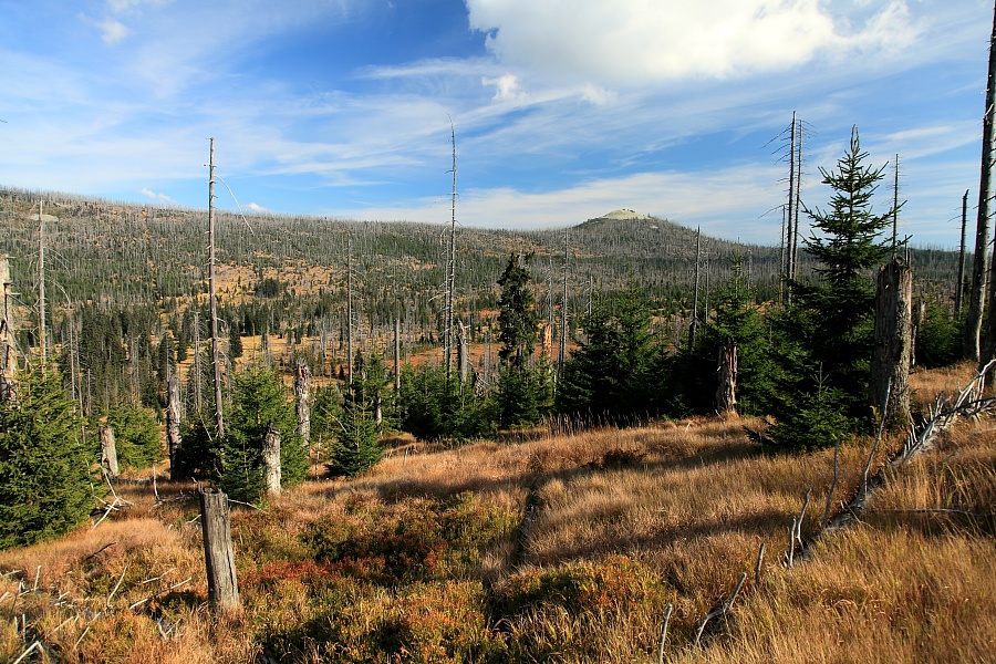 Grenzsteig