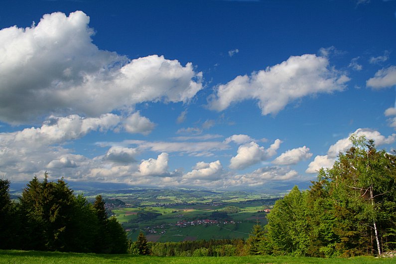 Oberfrauenwald