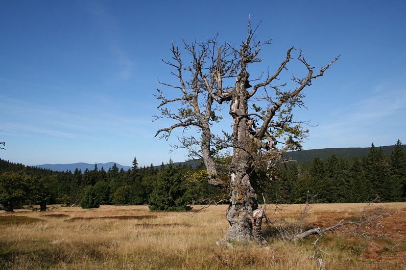 Hochschachten