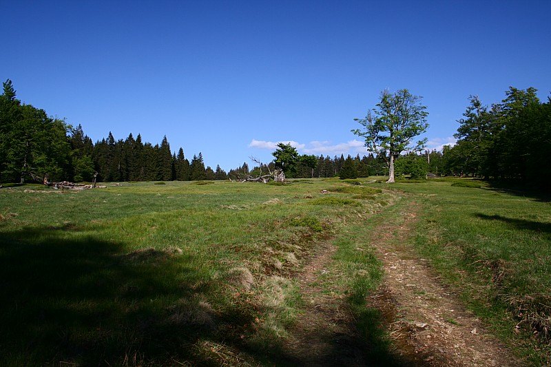 Hochschachten