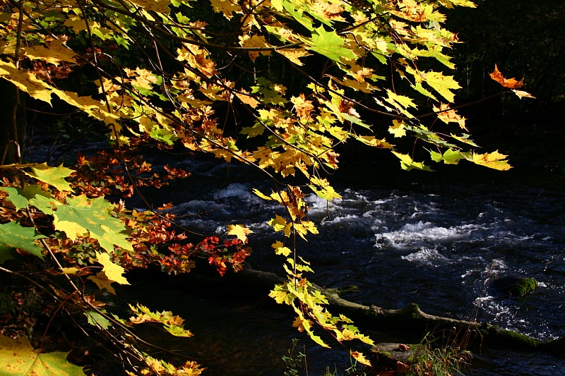 Herbstfarben