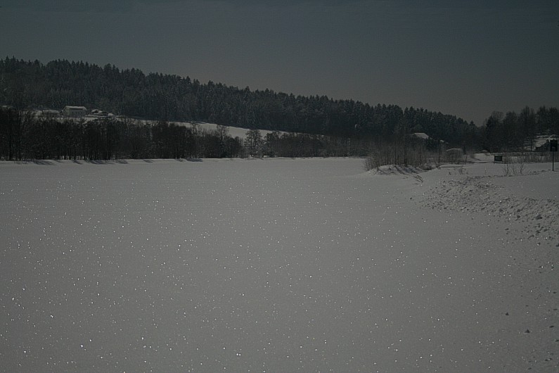 Erlauzwieseler See