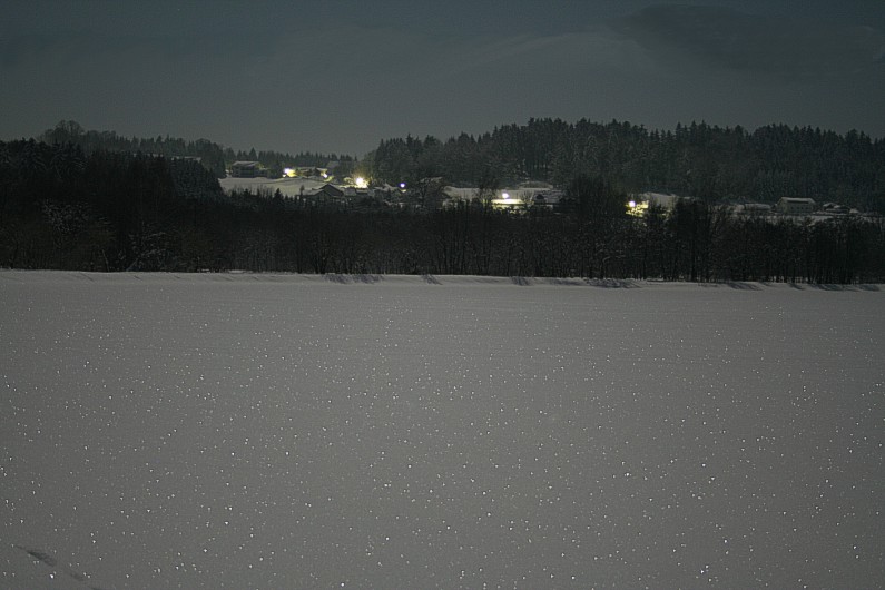 Erlauzwieseler See