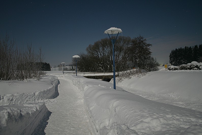 Erlauzwieseler See