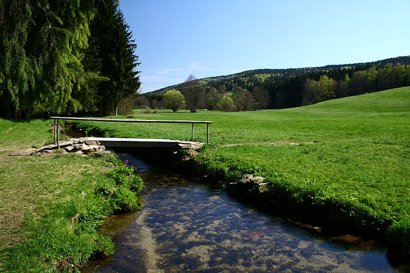 Schauerbach