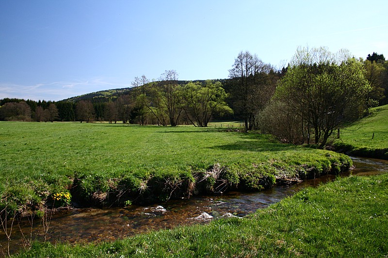 Schauerbach